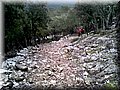 2014110003.jpg