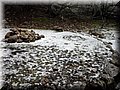 20141229_103431.jpg