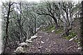 PC290015.JPG