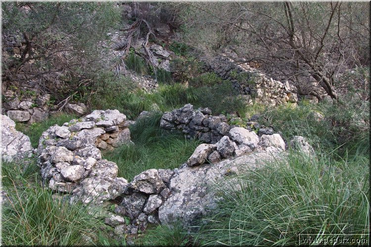 P1050102.JPG