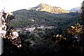 P1050053.JPG