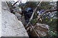 P1050055.JPG