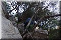 P1050058.JPG