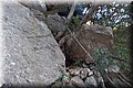 P1050059.JPG
