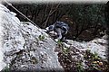 P1050060.JPG