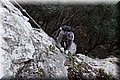 P1050061.JPG