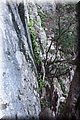 P1050063.JPG