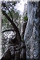 P1050064.JPG