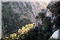 P1050071.JPG