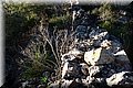 P1050083.JPG