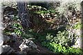 P1050103.JPG