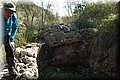 P1050105.JPG