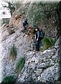0026_1_1.JPG