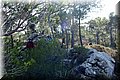 P1080176.JPG