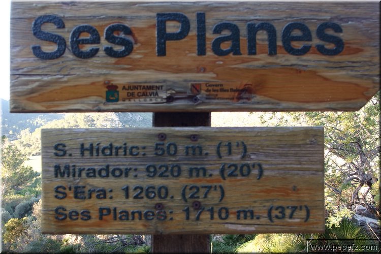P1120187.JPG