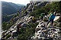 P1120212.JPG