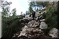 P1260387.JPG