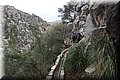 P1260403.JPG