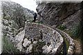 P1260411.JPG