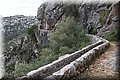 P1260412.JPG