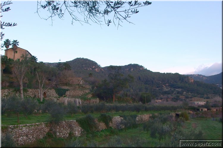 P1290004.JPG