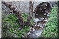 P1290003.JPG