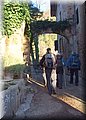 P1290005.JPG