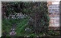 P1290015.JPG