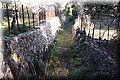 P1290020.JPG