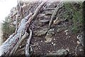 P1290029.JPG