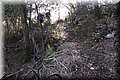 P1290031.JPG
