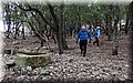 P1290038.JPG