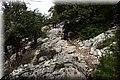 P1290047.JPG