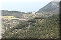 P1290067.JPG