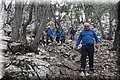 P1290070.JPG
