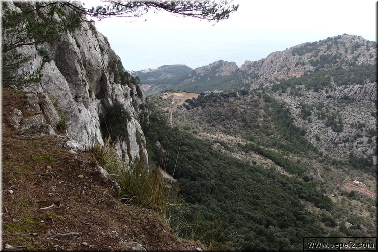 P2020097.JPG