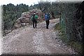 P2020081.JPG