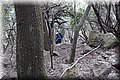 P2020085.JPG