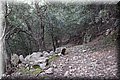 P2020088.JPG