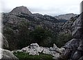 P2020107.JPG