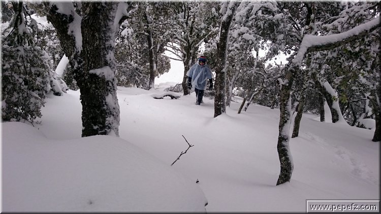 DSC_0020.JPG