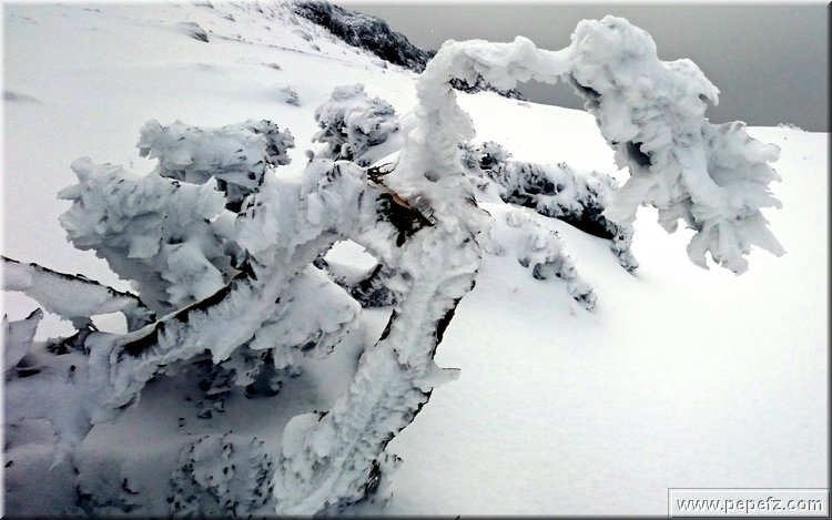 DSC_0036.JPG