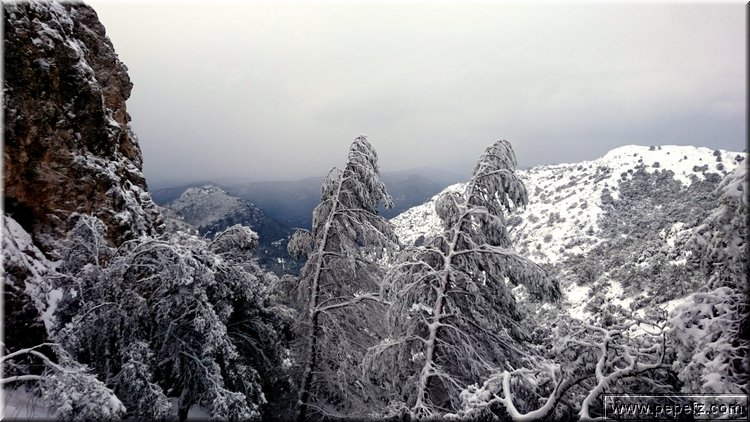 DSC_0040.JPG