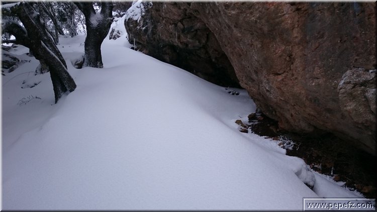 DSC_0042.JPG