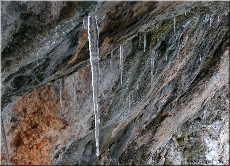 DSC_0044.JPG