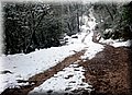 DSC_0012.JPG