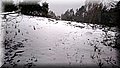 DSC_0016.JPG