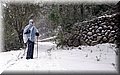 DSC_0017.JPG