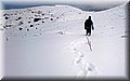 DSC_0037.JPG