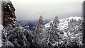 DSC_0040.JPG